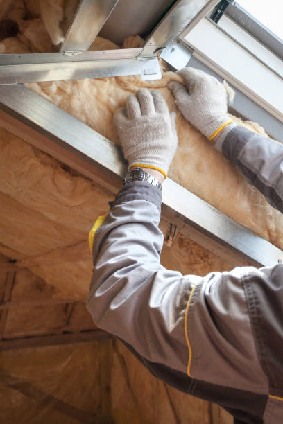 Types of Insulation We Offer in Edwards, CO